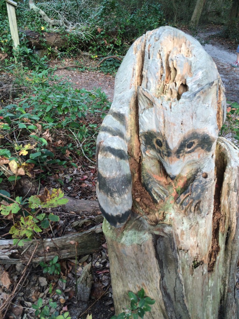 Trail stump wittling