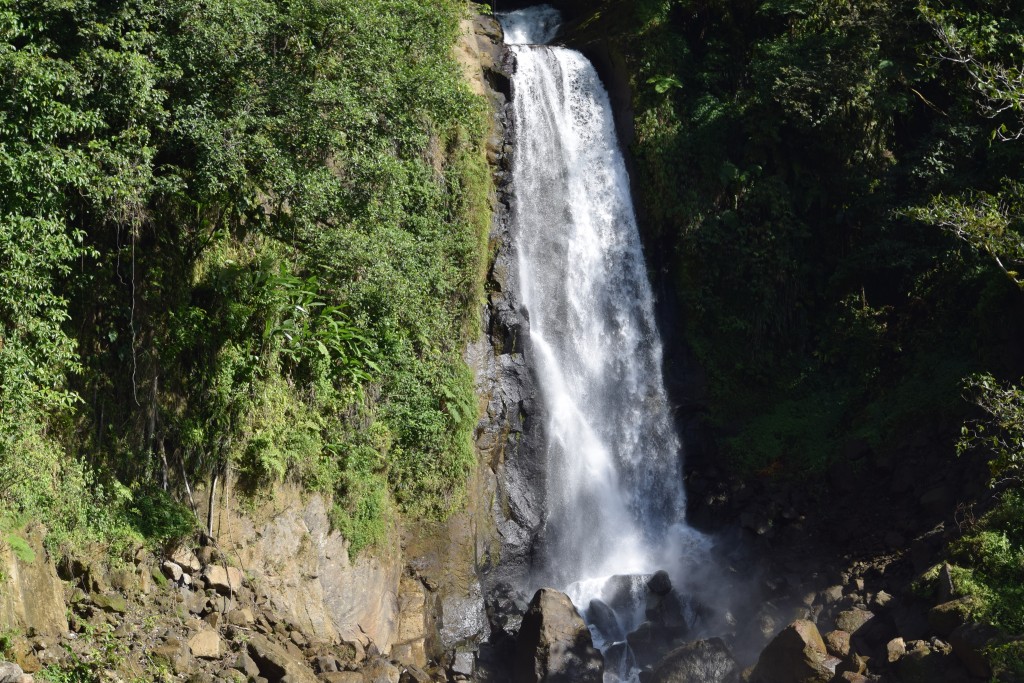 Trafalgar Falls - mama falls