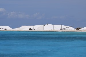 DSC_0669