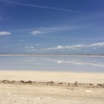 Mortons Salt pond