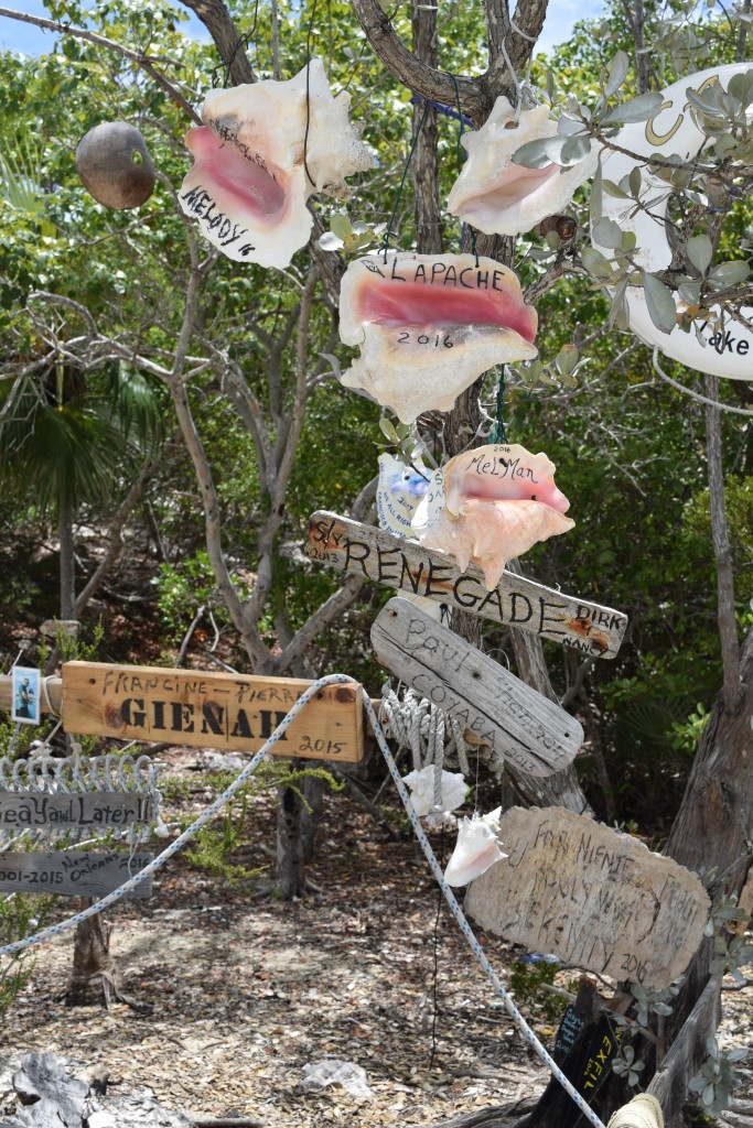 there's a bbq grill (b.y.o.propane), spatula, tables, corn hole, ring game, fire pit decorations