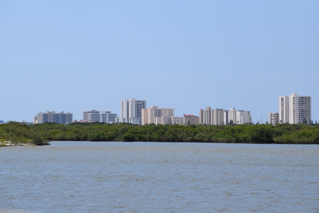 Daytona FL