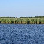the shallows constantly shift